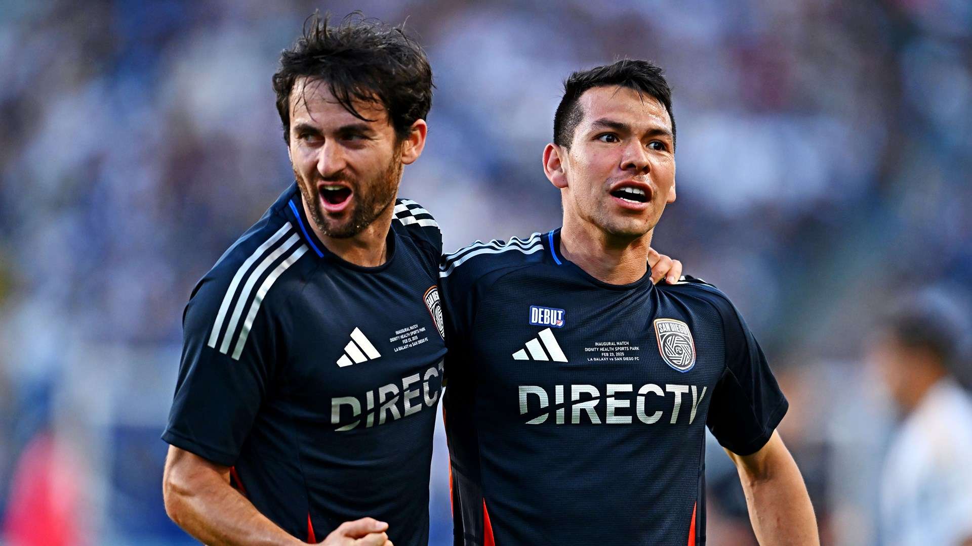 不仅是装饰 不仅是装饰